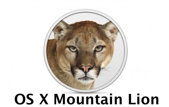 mountain-lion