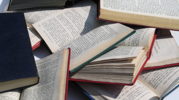 Libri testi romanzi