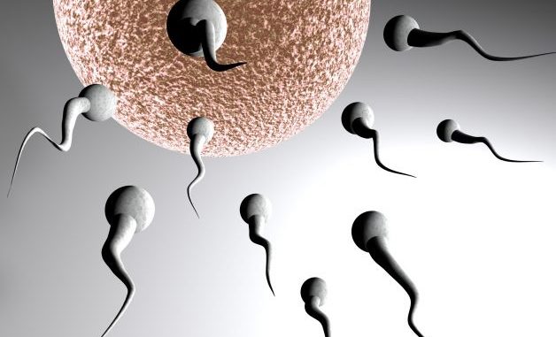sesso-orale-sperma