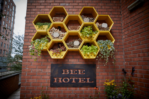 bee