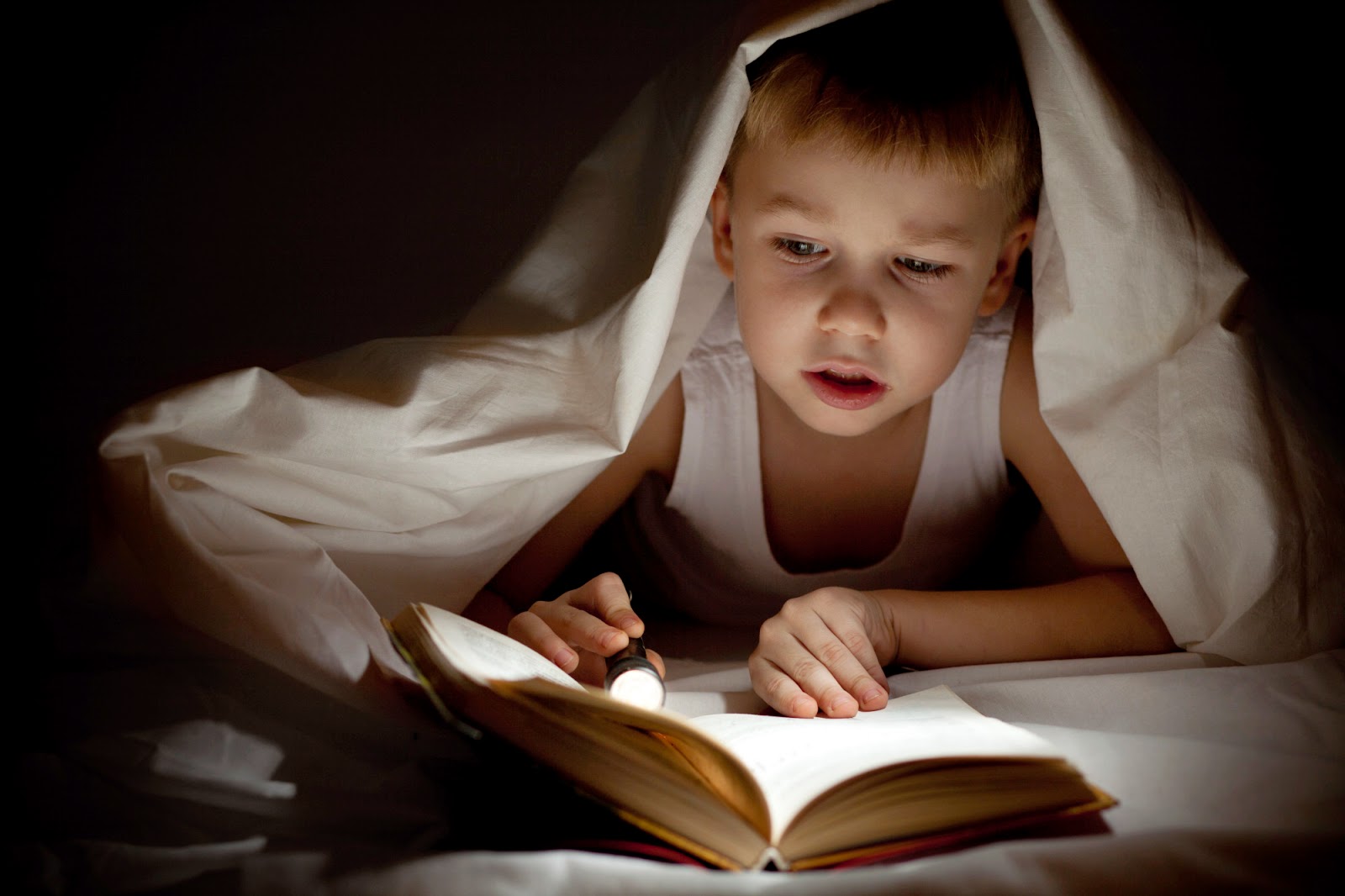 Книжка на ночь читать. Чтение для детей. Дети читают. Книга для мальчиков. Мальчик с книжкой.